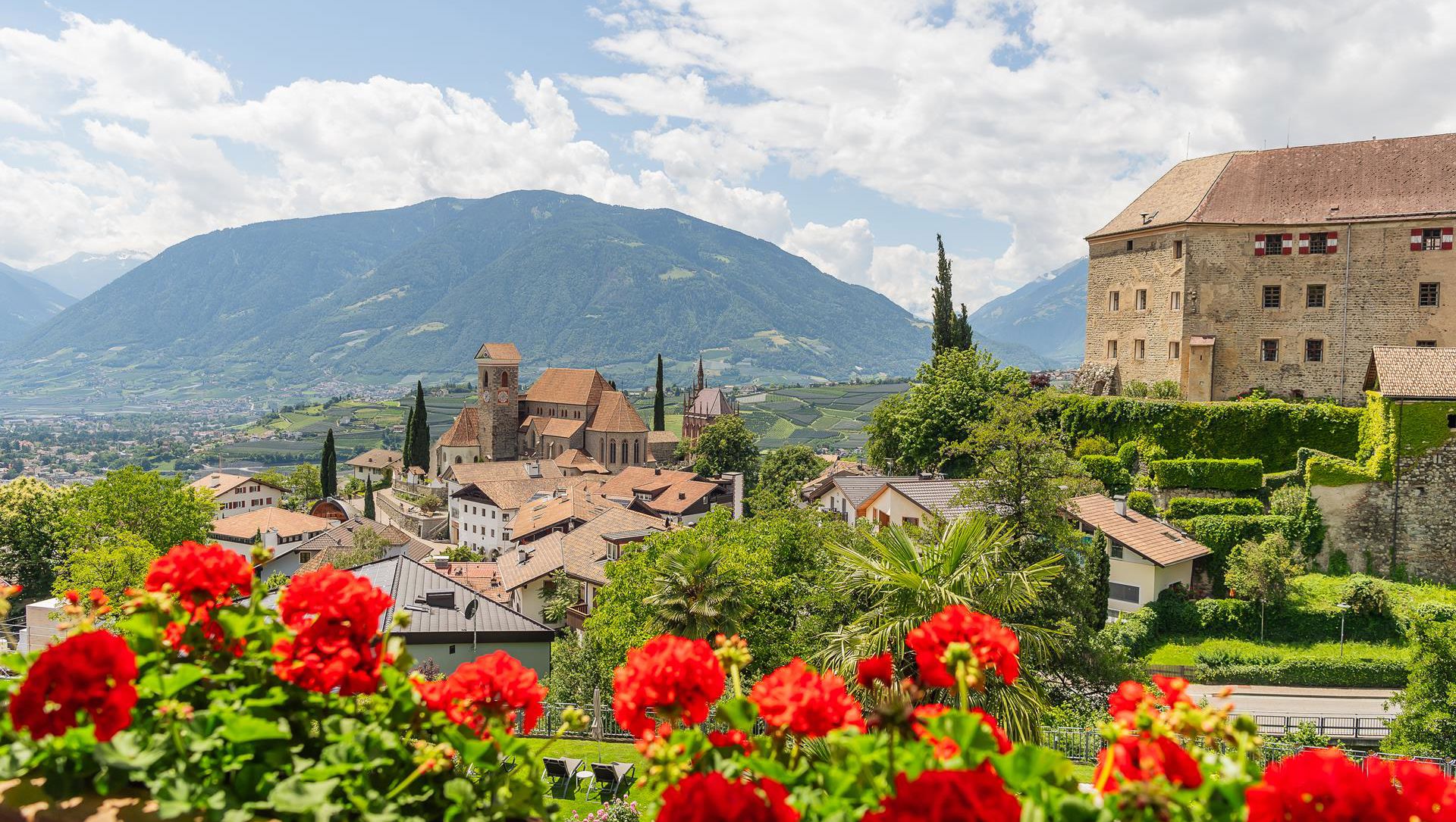 Vista su Scena