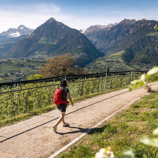 -c-tourismusverein-schenna-roter-rucksack-3